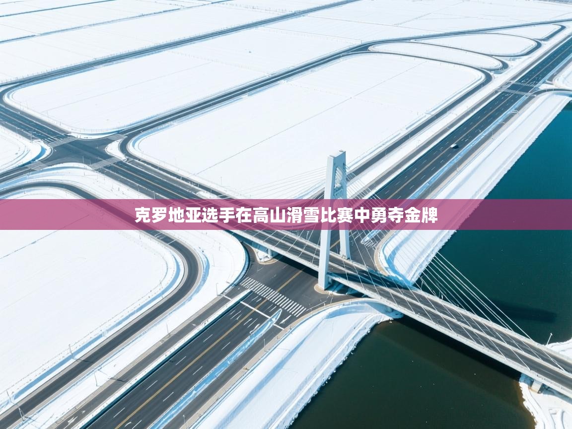 克罗地亚选手在高山滑雪比赛中勇夺金牌  第1张