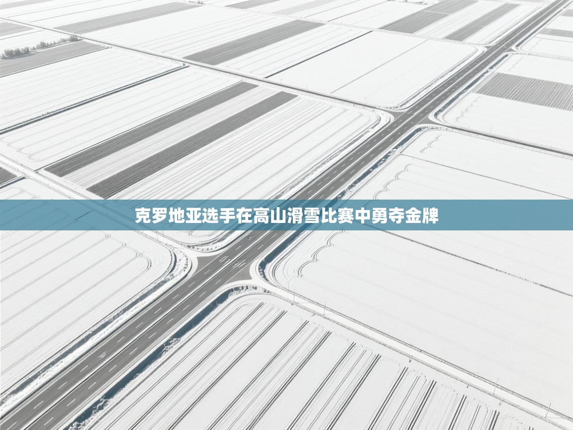 克罗地亚选手在高山滑雪比赛中勇夺金牌  第2张