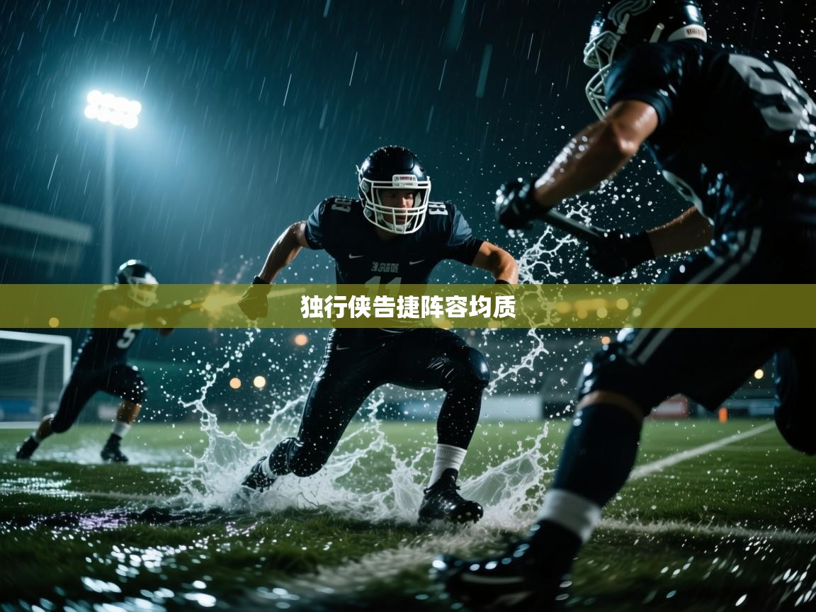 独行侠告捷阵容均质  第2张