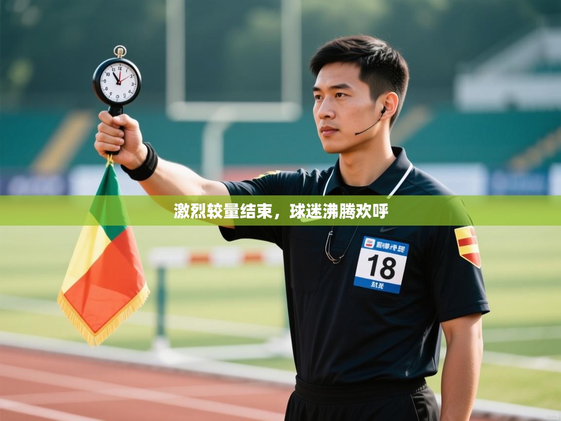 激烈较量结束，球迷沸腾欢呼  第2张