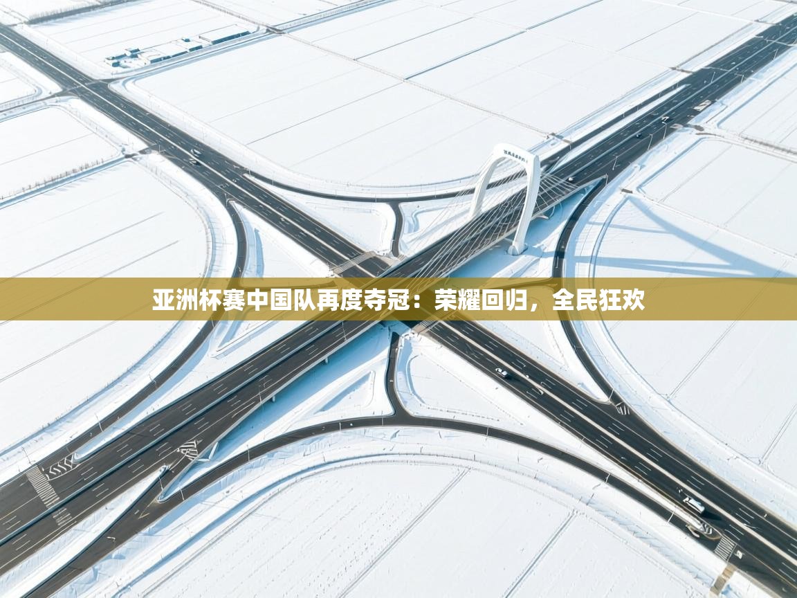 亚洲杯赛中国队再度夺冠:荣耀回归,全民狂欢 第1张