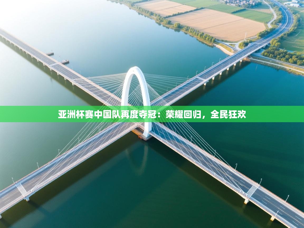 亚洲杯赛中国队再度夺冠:荣耀回归,全民狂欢 第2张